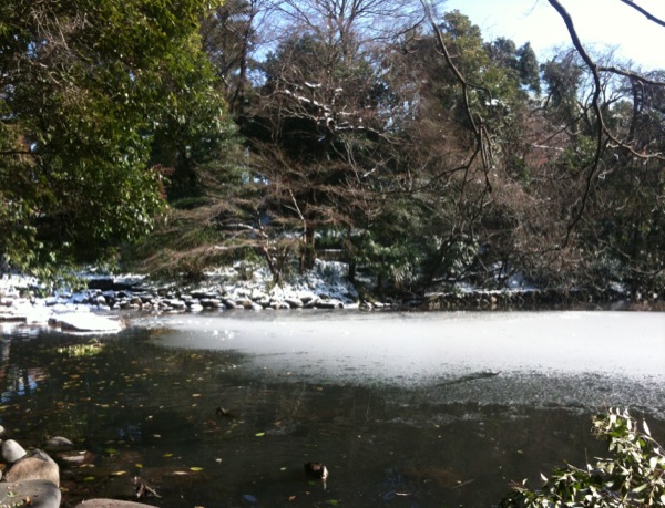 凍った三四郎池。