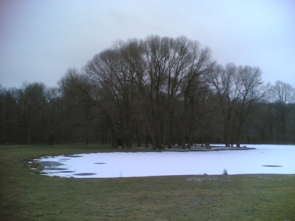池はすっかり凍っています。雪が積もって真っ白です。