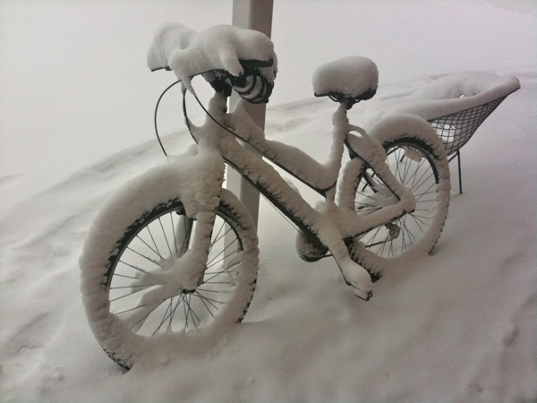 軒下にも雪が吹きつけたようで、自転車もこの有り様。