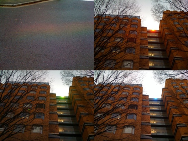 地面に虹が出ていたので、何かと上を見上げると、渡り廊下のガラスがプリズムの働きをしていました。数日前の本郷での話です。