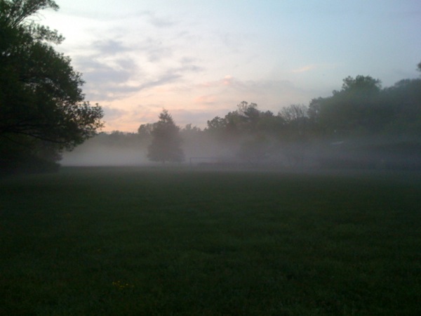 霧が出ました。