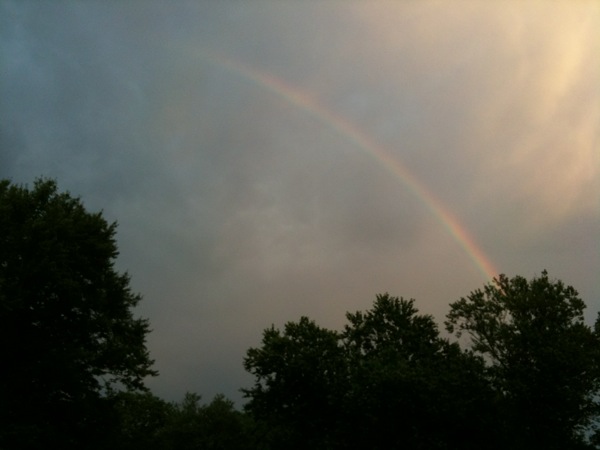 雨上がりにピアノを弾きにいこうとすると虹が見えました。
