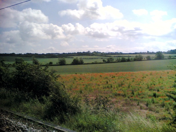 Cambridge Express の車窓。