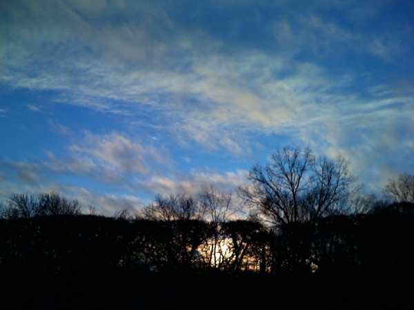 冬枯れの木立に沈む夕陽。空の青とのコントラスト。