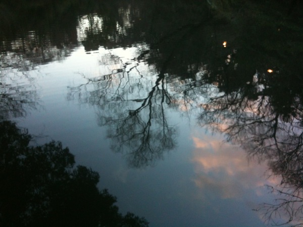 三四郎池の水面に夕焼けを見る