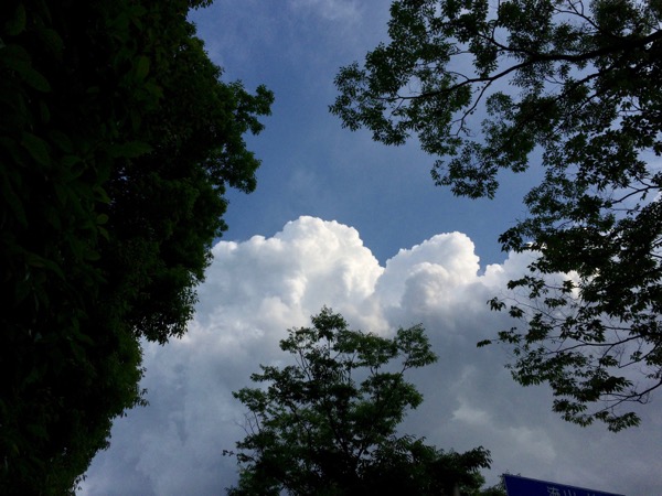 夏の雲。