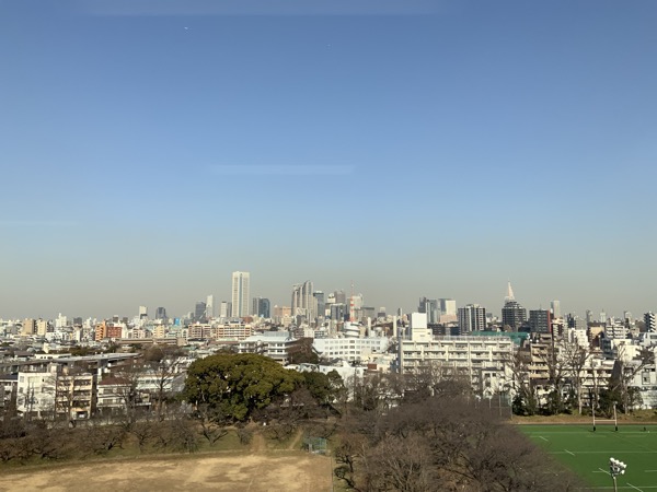 淀んだ東京の冬の空。