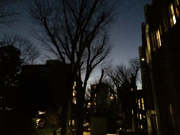 夕闇の大学構内。