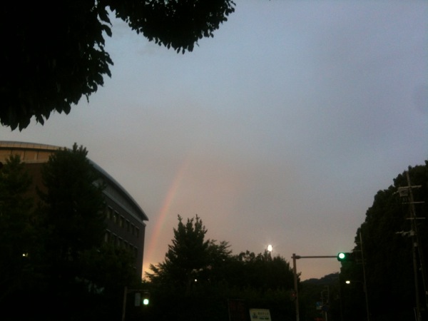 夕方には虹が出ました。