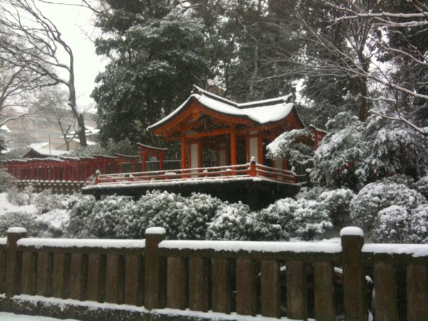 雪の根津神社。
