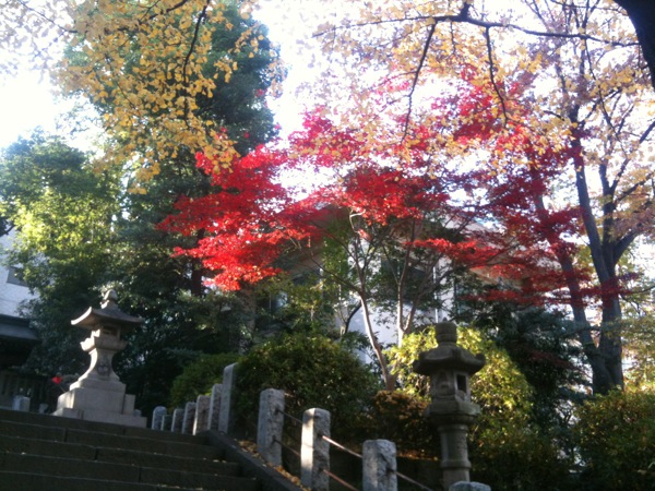 根津神社の紅葉。