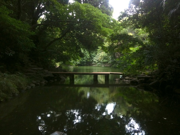 静かな三四郎池。