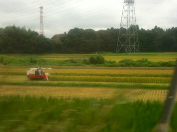 車窓より眺む稲の刈り入れ。